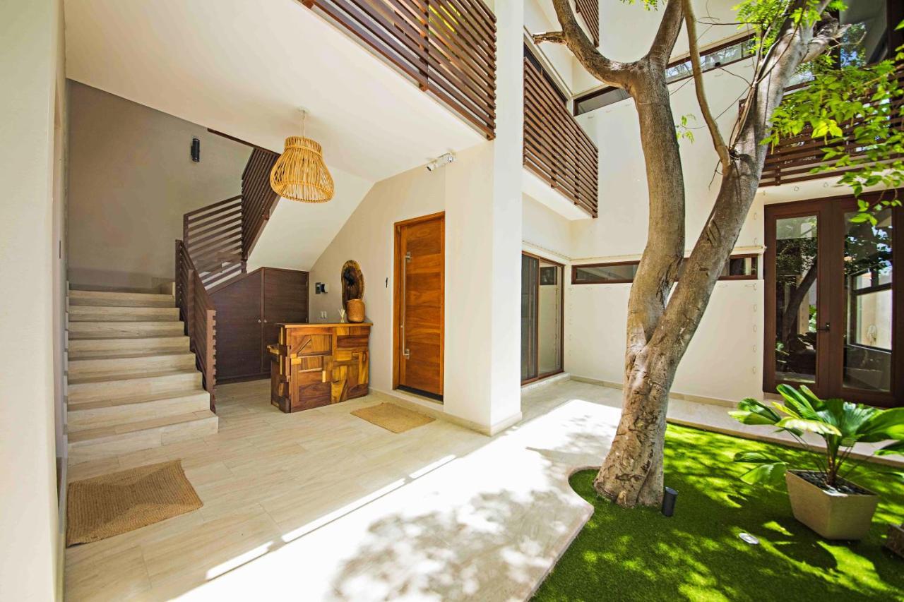 Treetop Cozumel